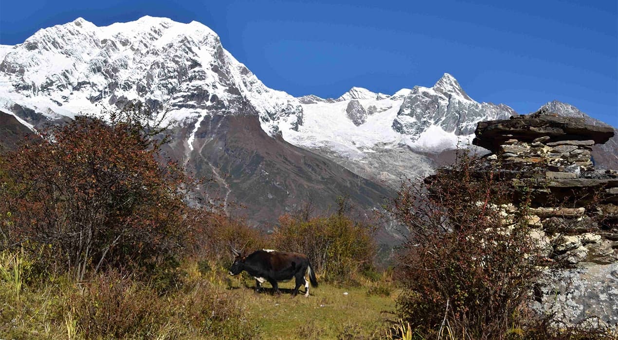 Manaslu Circuit Trek